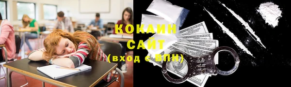 ГАЛЛЮЦИНОГЕННЫЕ ГРИБЫ Аркадак