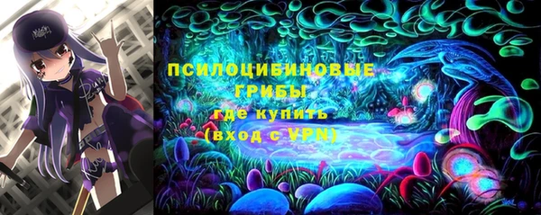 ГАЛЛЮЦИНОГЕННЫЕ ГРИБЫ Аркадак