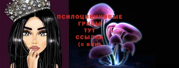 МДМА Арсеньев