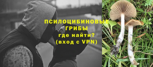 МДМА Арсеньев
