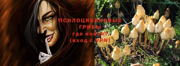 ГАЛЛЮЦИНОГЕННЫЕ ГРИБЫ Аркадак