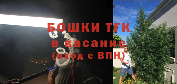 ГАЛЛЮЦИНОГЕННЫЕ ГРИБЫ Аркадак
