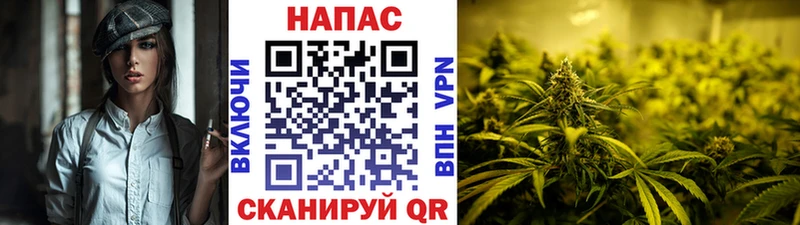 KRAKEN ссылки  Курган  Бошки Шишки конопля  купить наркоту 